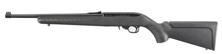 Ruger Youth 10/22 Compact .22 LR Rifle